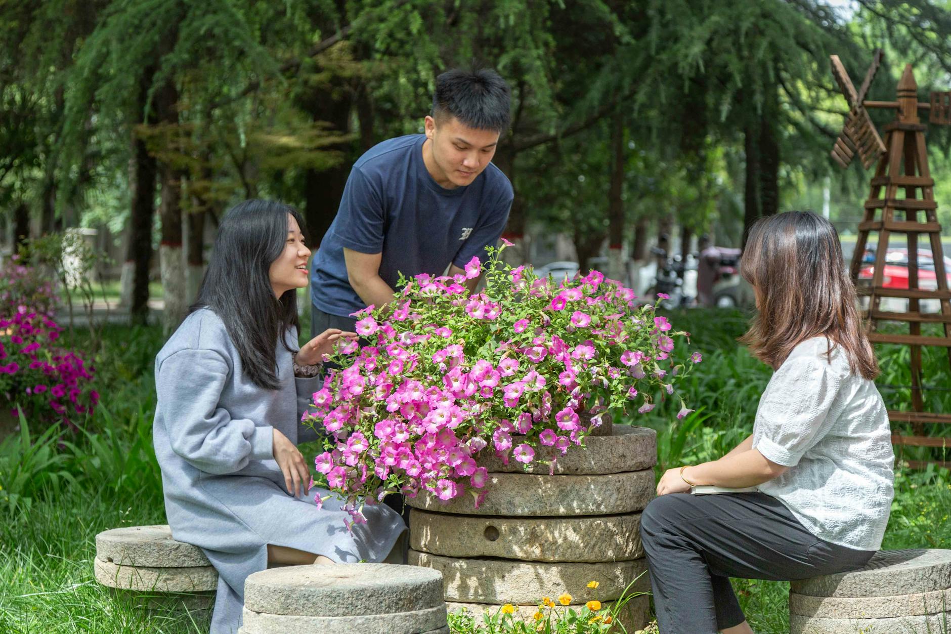 綺麗な花を庭に取り入れる魅力