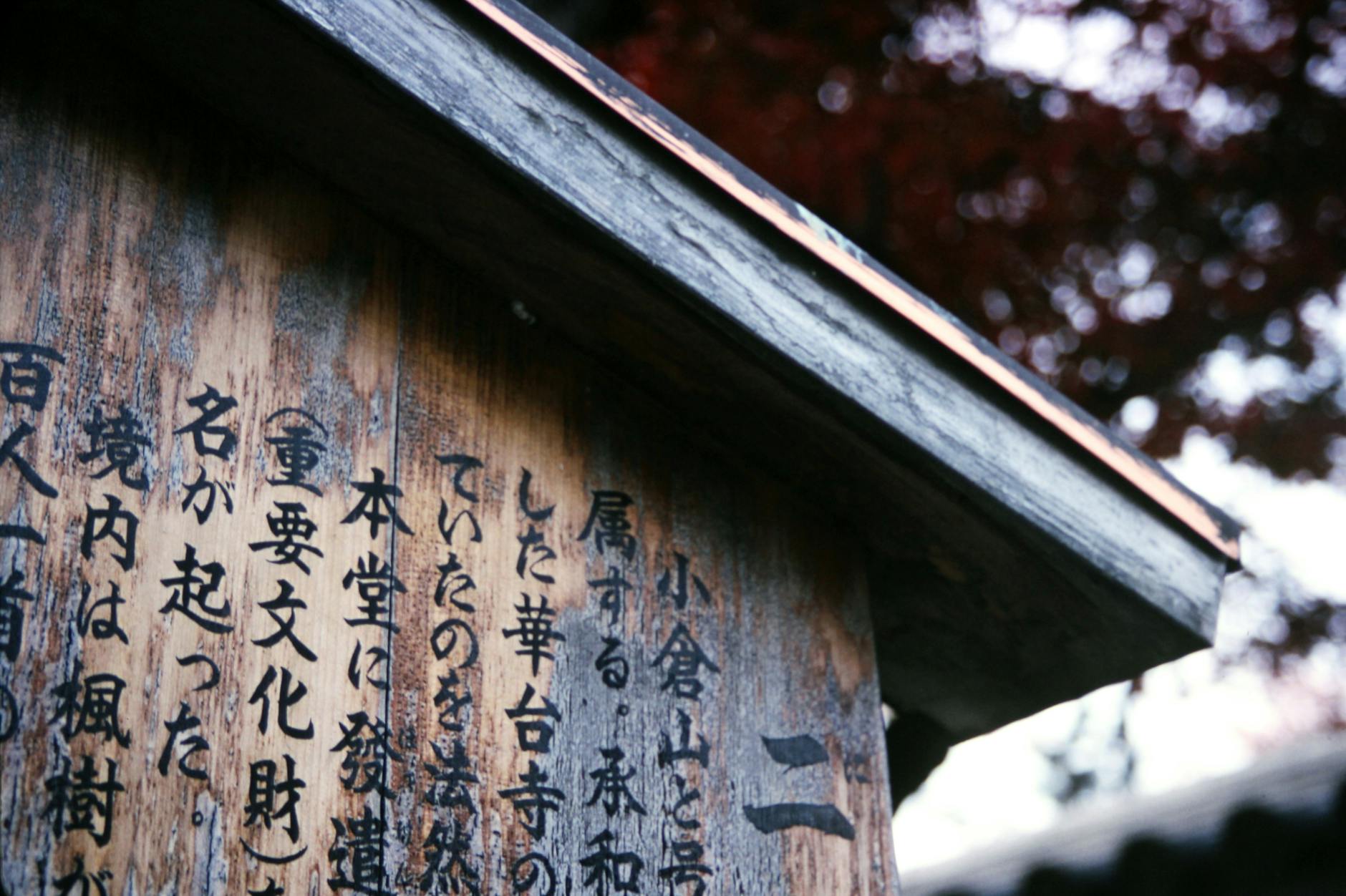 短い名言が心に響く理由